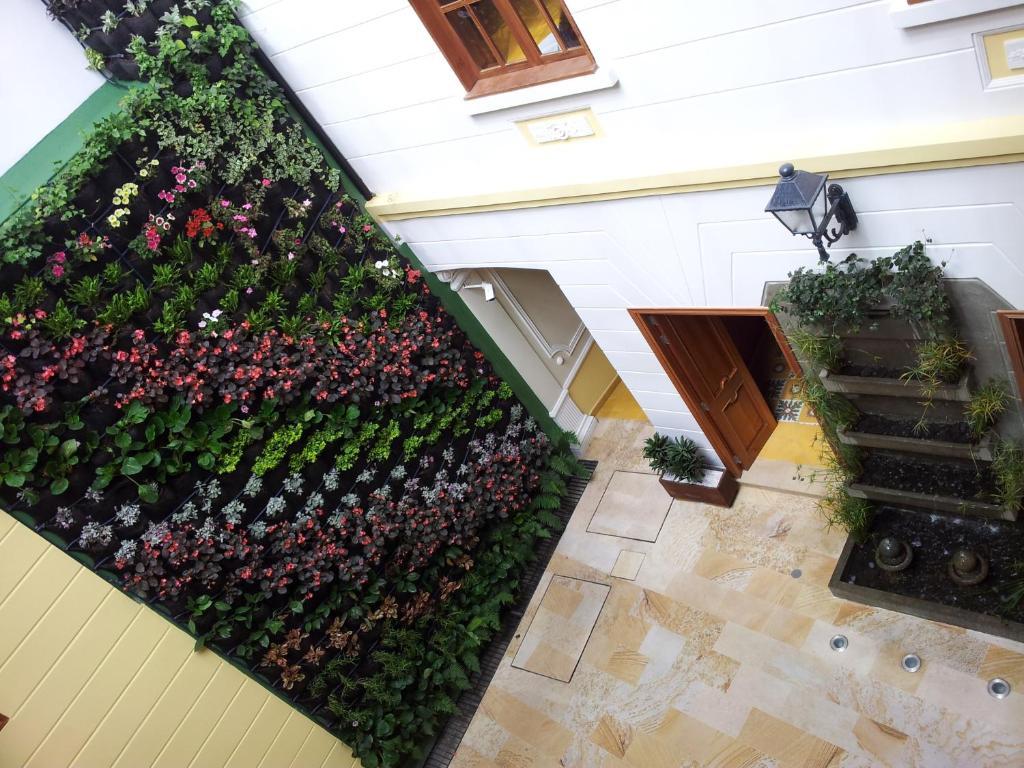 Hotel Santa Lucia Boutique Spa Μπογκοτά Εξωτερικό φωτογραφία A green wall in a courtyard
